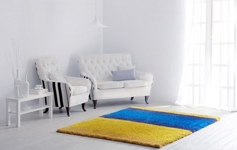Picture for category Rugs