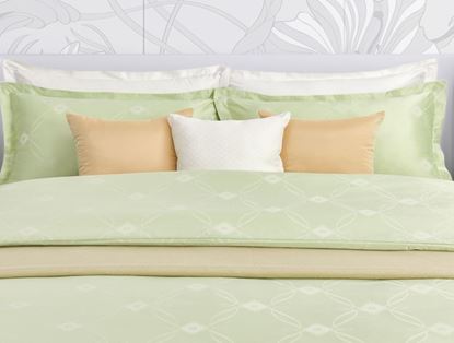 Picture of *New arrival -PASAYA Bedding Set - 650 thread Softamante Series - IRIS