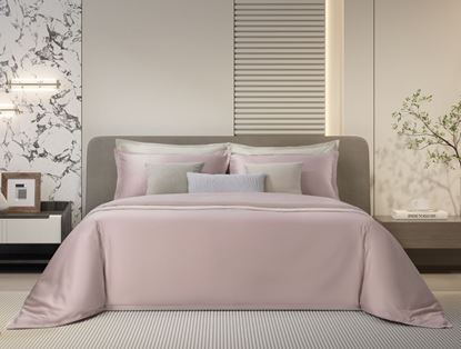 Picture of *PASAYA BAZICS Bedding Set - 800 thread Series - ORDINARY 